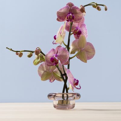 SIRKEL Tealight Holder, Primerose Pink