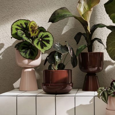 NAPPULA Plant Pot w. Saucer, Brown