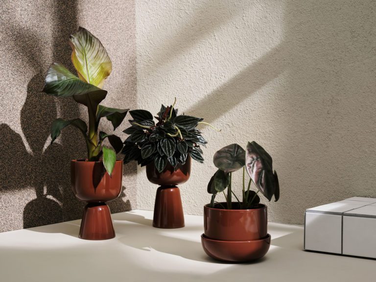 NAPPULA Plant Pot w. Saucer, Brown