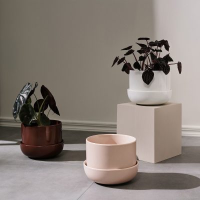 NAPPULA Plant Pot w. Saucer, Brown