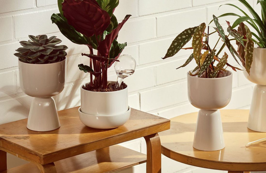 WATERING BOTTLE 2set