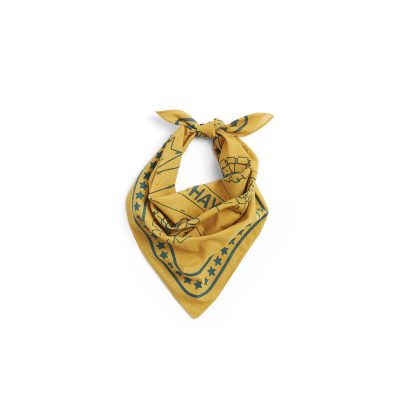 HAY DOGS SCARF, Ochre