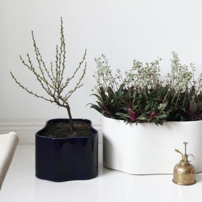 Riihitie Plant Pot A - L, Blue