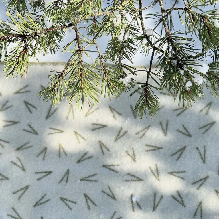 PINE NEEDLE, Snow