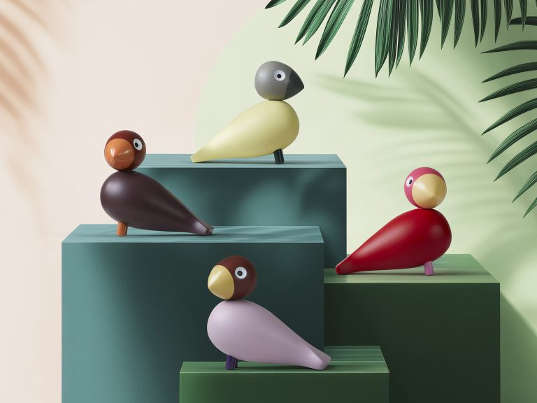 SONGBIRD BELLA, Year Bird 2025