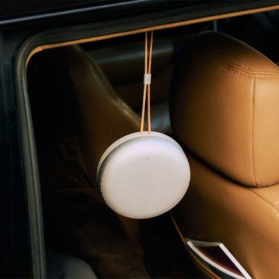 BEOSOUND A1 3nd gen, Eucalyptus Green