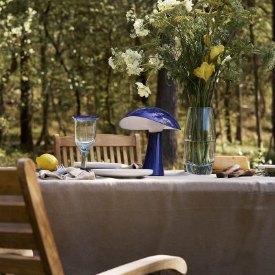 RUMEE 220 Portable, Night Blue