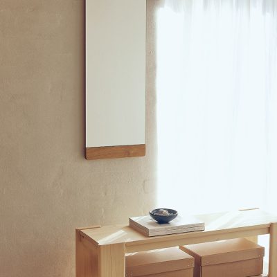 RIM Mirror 35x110